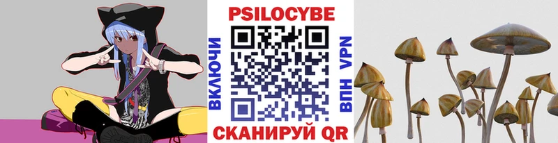 МЕГА вход Шагонар Псилоцибиновые грибы MAGIC MUSHROOMS